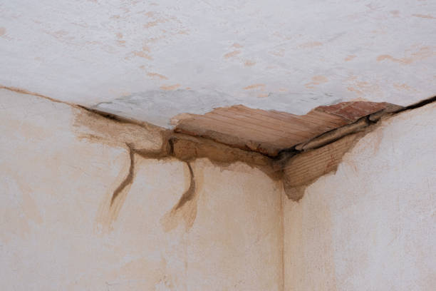 Best Water damage restoration near me  in Steiner Ranch, TX
