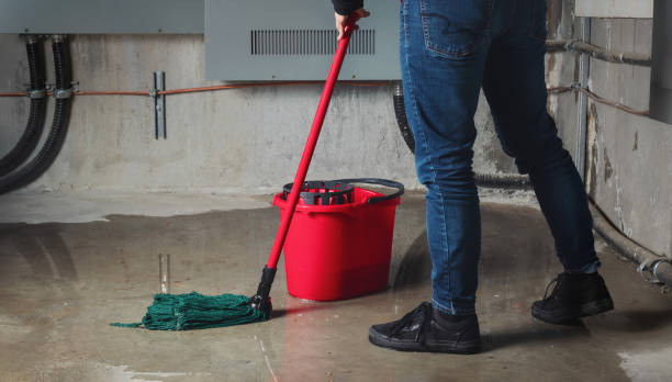 Best Water damage restoration near me  in Steiner Ranch, TX