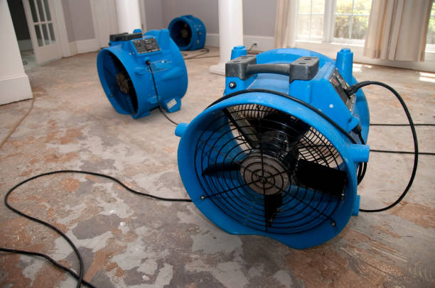 Best Water damage cleanup near me  in Steiner Ranch, TX